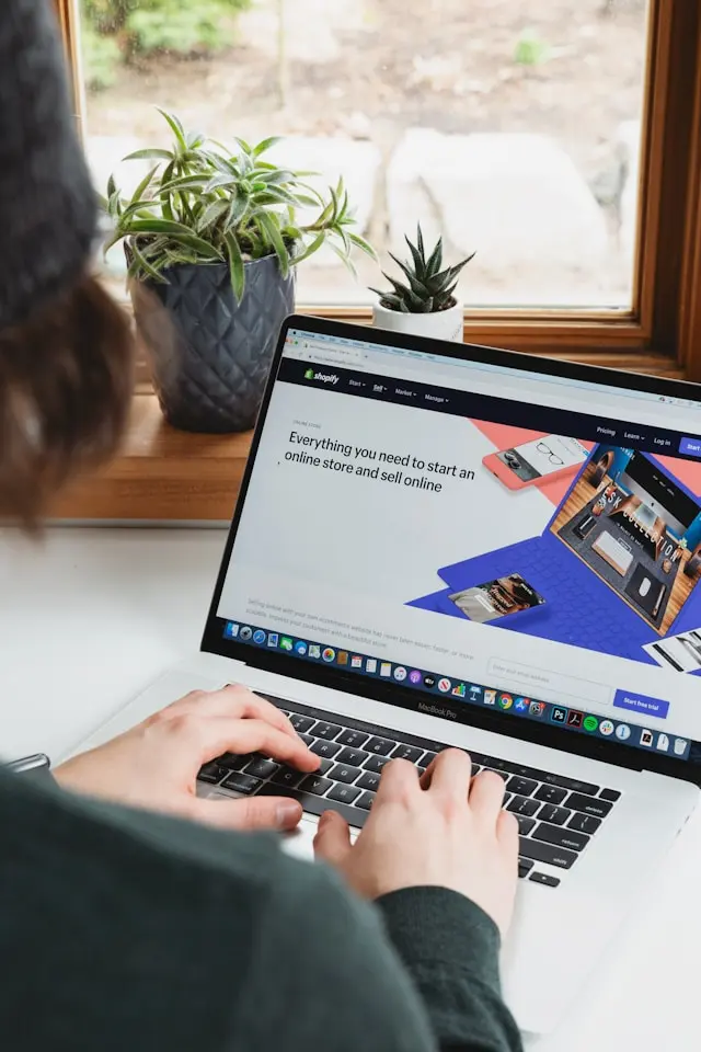 Mini Website Services